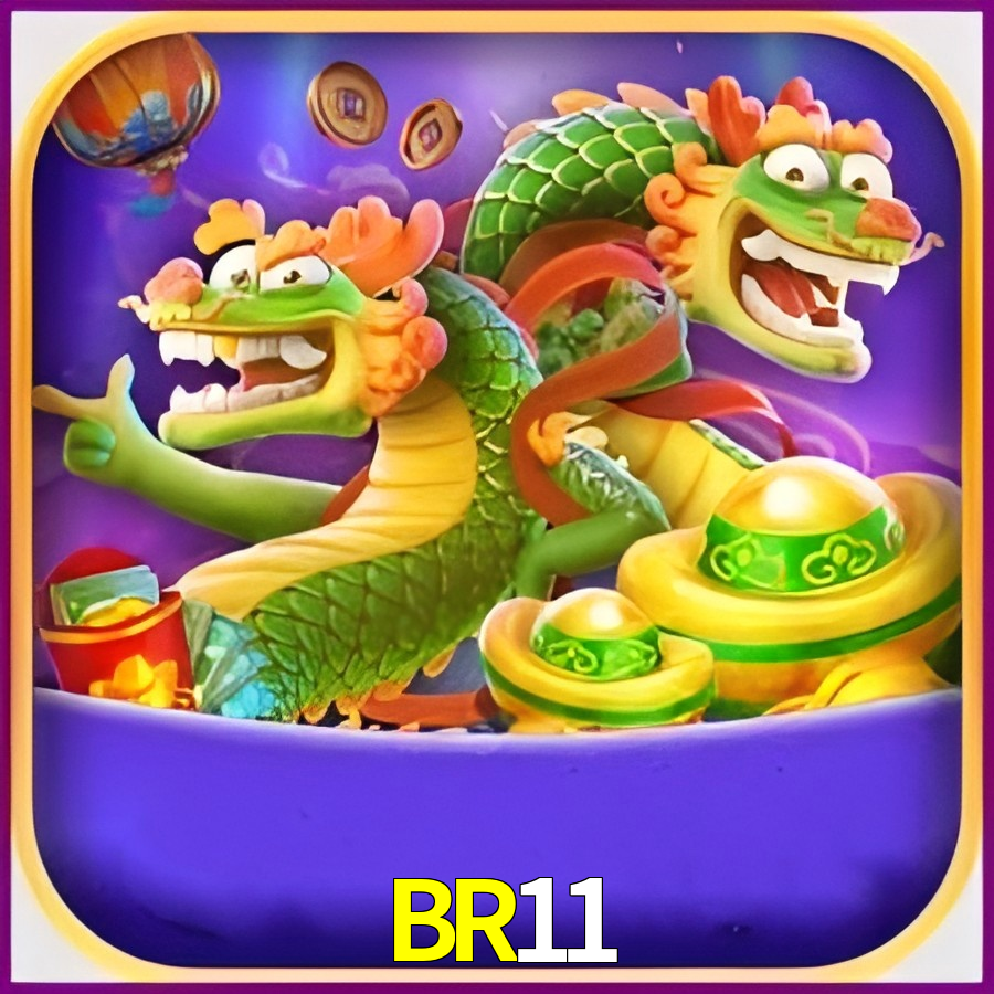BR11